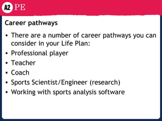 Career pathways   There are a number of career pathways you can consider in your Life Plan: Professional player Teacher Coach Sports Scientist/Engineer (research) Working with sports analysis software 