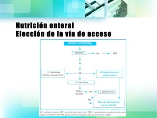 Nutrición enteral 
Elección de la vía de acceso 
 