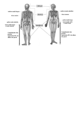 Res 8 ano(locomocao)