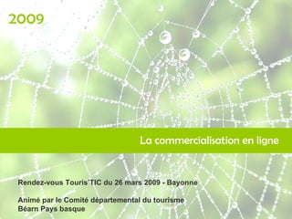 La commercialisation en ligne 2009 Rendez-vous Touris’TIC du 26 mars 2009 - Bayonne Animé par le Comité départemental du tourisme Béarn Pays basque 