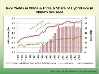 Food market transformation and improving food security in Asia (within and across countries)