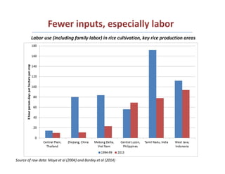 Rural Incomes in the Context of Structural and Agricultural Transformation