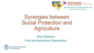Synergies between
Social Protection and
Agriculture
Silvio Daidone
Food and Agriculture Organization
 