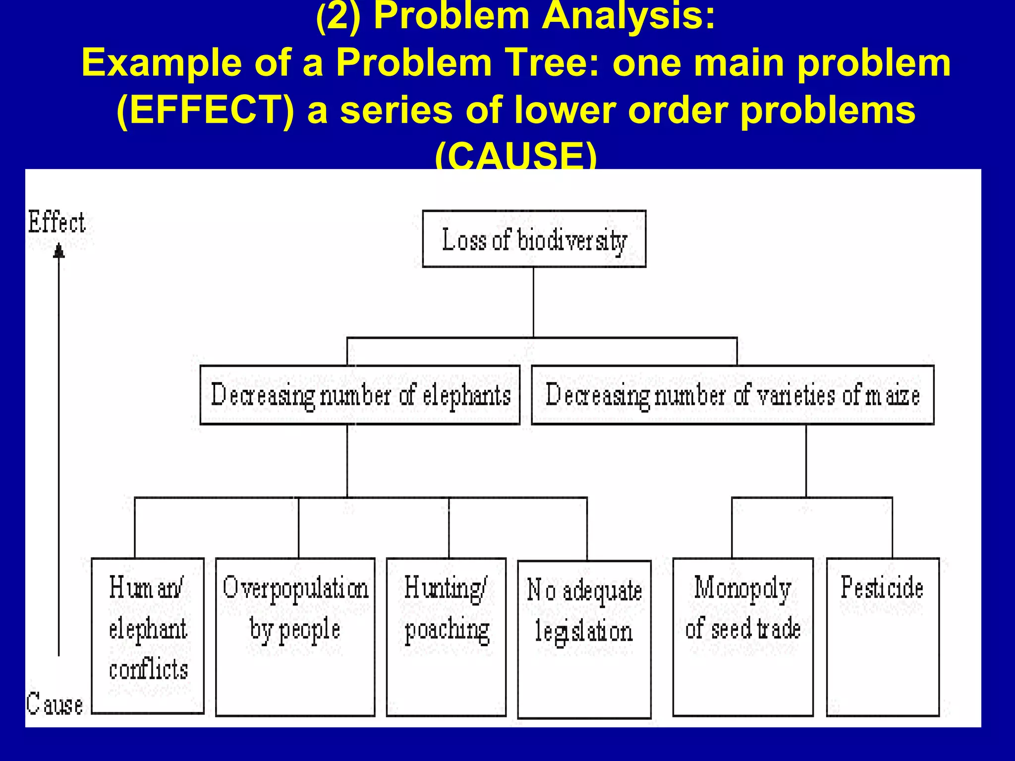 (2) Problem Analysis:
Example of a Problem Tree: one main problem
 (EFFECT) a series of lower order problems
                  (CAUSE)
 