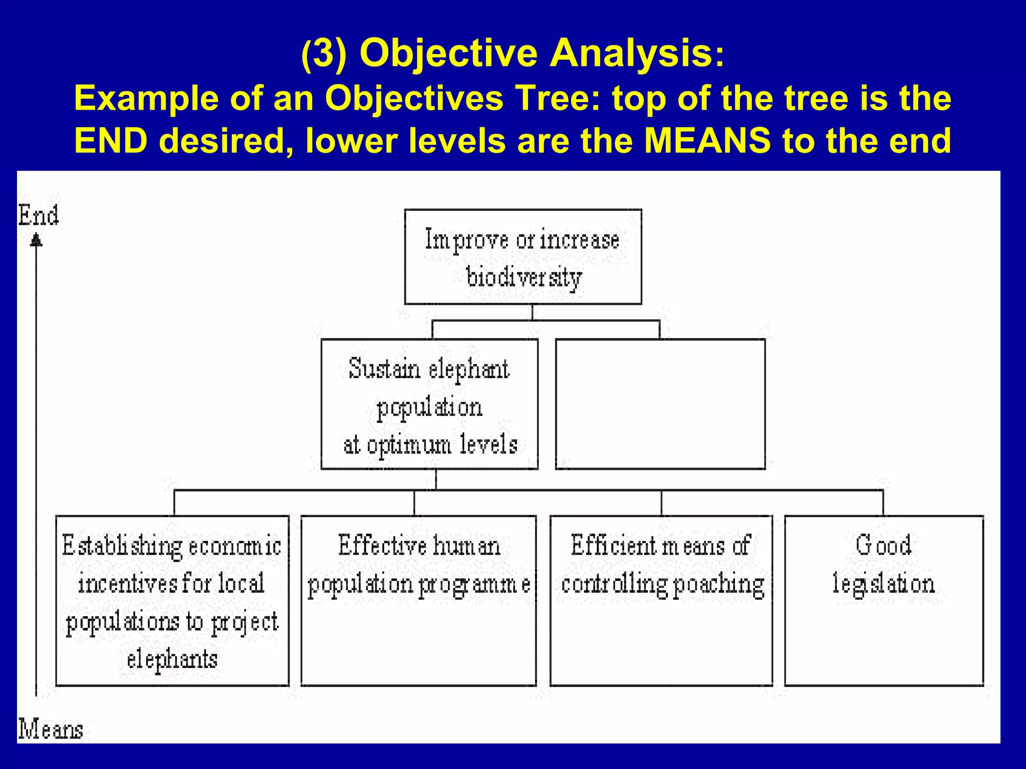 (3) Objective Analysis:
Example of an Objectives Tree: top of the tree is the
END desired, lower levels are the MEANS to the end




                    MDS 521 IRUNGU 2011
 
