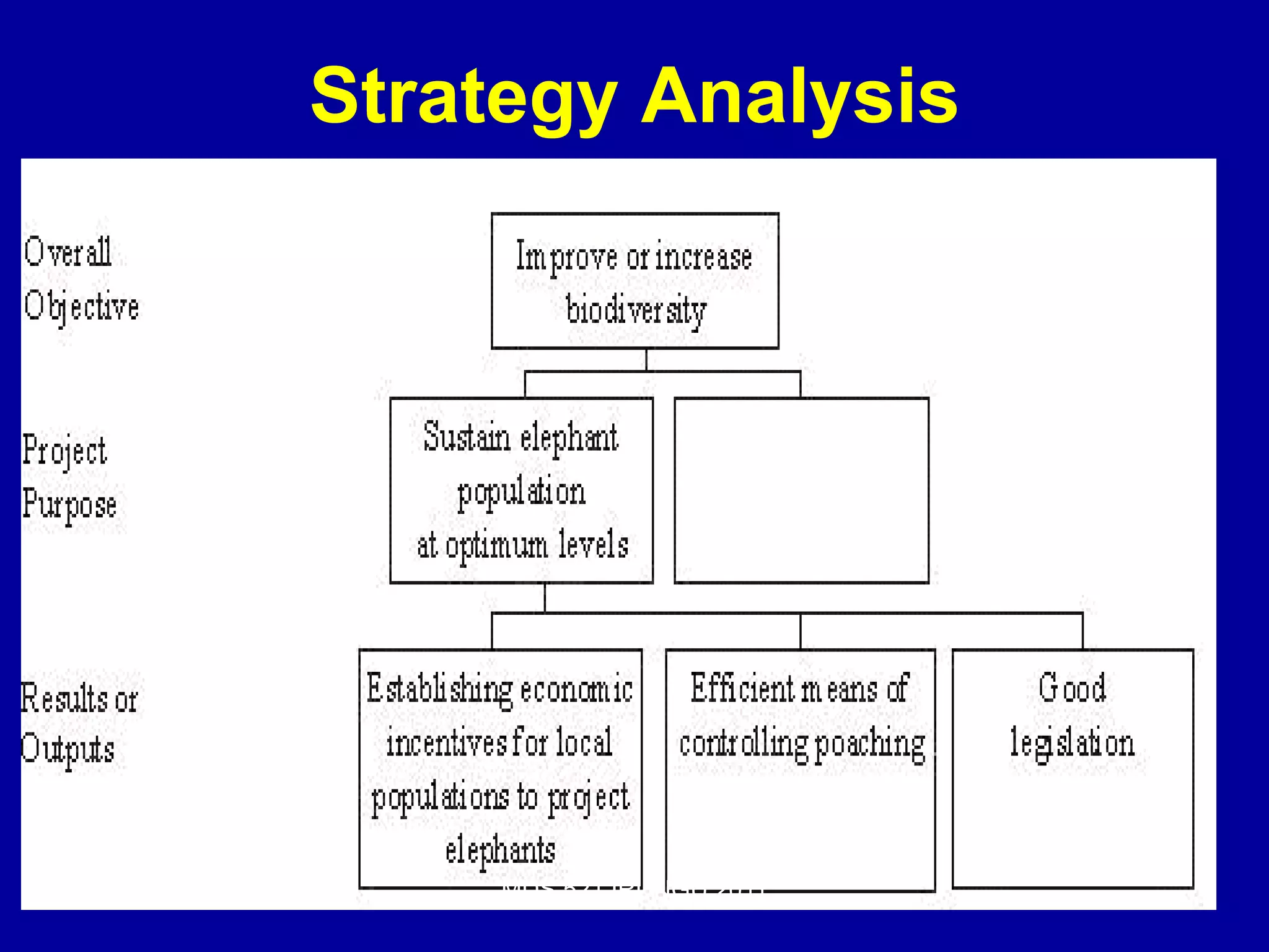 Strategy Analysis




     MDS 521 IRUNGU 2011
 