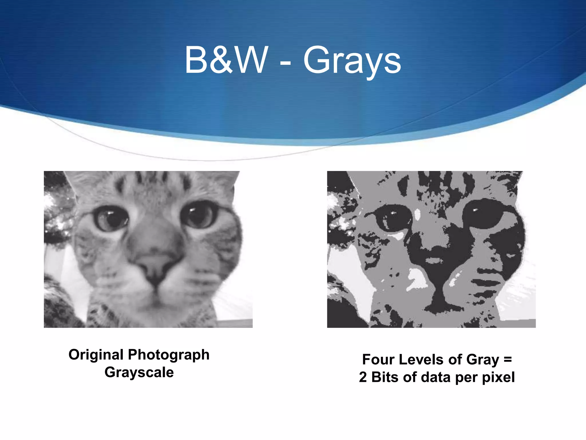 B&W - Grays
Original Photograph
Grayscale
Four Levels of Gray =
2 Bits of data per pixel
 