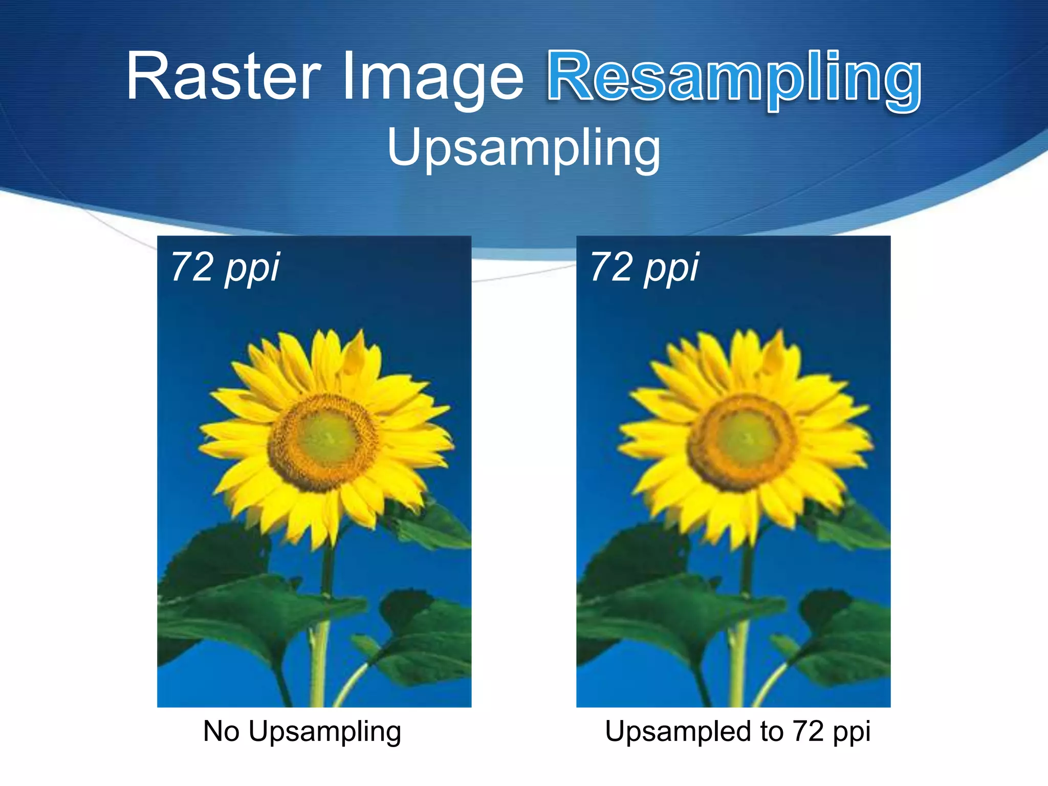 Raster Image
Upsampling
No Upsampling Upsampled to 72 ppi
72 ppi 72 ppi
 