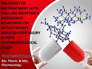 THE EFFECT OF
PRETREATMENT WITH
TOLL-LIKE RECEPTOR 4
ANTAGONIST
RESATORVID ON
METHOTREXATE-
INDUCED LIVER INJURY
IN RATS:
HISTOPATHOLOGICAL
STUDY
Alaa Fadhel Hassan
BSc. Pharm. & MSc.
Pharmacology
 