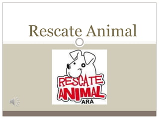 Rescate Animal
 