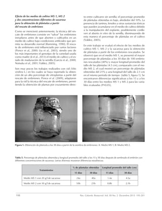 198	 Rev. Colomb. Biotecnol. Vol. XV No. 2 Diciembre 2013 193-201
Efecto de los medios de cultivo MS 1, MS 2
y dos concentraciones diferentes de sacarosa
para la obtención de plántulas a partir
del rescate de embriones
Como se mencionó anteriormente, la técnica del res-
cate de embriones consiste en “salvar” los embriones
inmaduros antes de que aborten y cultivarlos en un
medio de cultivo bajo condiciones artificiales que per-
mita su desarrollo normal (Ramming, 1990). El resca-
te de embriones está influenciado por varios factores
(Ponce et al., 2000; Liu et al., 2003), siendo uno de
los más importantes el genotipo de la variedad usada
como madre (Ji et al., 2013) el medio de cultivo y el es-
tado de maduración de la semilla (García et al., 2000;
Notsuka et al., 2001; Valdez, 2005).
Son muy pocos los trabajos realizados con vid (Vitis
vinífera L.) en los cuales se haya reportado la obten-
ción de un alto porcentaje de vitroplantas a partir del
rescate de embriones. Ponce et al. (2009), adaptaron
para la vid la técnica del rescate de embriones, permi-
tiendo la obtención de plantas por cruzamiento direc-
to entre cultivares sin semilla; el porcentaje promedio
de plántulas obtenidas es bajo, alrededor del 10%. La
presencia de taninos, fenoles u otras sustancias tóxicas
que pueden acumularse en el medio de cultivo debido
a la manipulación del explante, posiblemente conlle-
ven al aborto in vitro de la semilla, disminuyendo de
esta manera el porcentaje de plántulas en el cultivo
(Valdez, 2005).
En este trabajo se evaluó el efecto de los medios de
cultivo MS 1, MS 2 y la sacarosa para la obtención
de plántulas a partir de los embriones rescatados. Se
observó que en el medio MS 1, se presentó el mayor
porcentaje de plántulas a los 30 días de 100 embrio-
nes rescatados (40%) y mayor longitud promedio del
tallo de las plántulas (4.5 cm), comparado con el me-
dio MS 2, el cual mostró un porcentaje de plántulas
obtenidas del 21% y una longitud del tallo de 2.1 cm
en el mismo periodo de tiempo (tabla 5, figura 1). Se
encontraron diferencias significativas a los 15 y a los
30 días entre los medios MS 1 y MS 2 para las varia-
bles evaluadas (P<0.05).
Tabla 5. Porcentaje de plántulas obtenidas y longitud promedio del tallo a los 15 y 30 días después de sembrado el embrión con
diferentes concentraciones de sacarosa. Letras distintas muestran diferencias estadísticas.
Tratamientos
% de plántulas obtenidas Longitud promedio del tallo (cm)
15 días 30 días 15 días 30 días
Medio MS 1 con 20 g/l de sacarosa 24a 40a 1.4a 4.5a
Medio MS 2 con 30 g/l de sacarosa 10b 21b 0.8b 2.1b
Figura 1. Obtención de plántula a los 30 días a partir de la siembra de embriones: A: Medio MS 1; B: Medio MS 2.
 