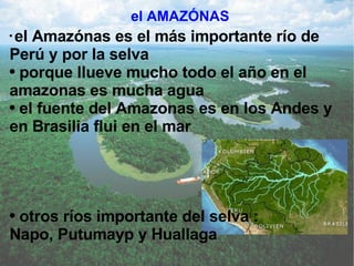 el AMAZÓNAS el Amazónas es el más importante río de Perú y por la selva porque llueve mucho todo el a ñ o en el amazonas es mucha agua  el fuente del Amazonas es en los Andes y  en Brasilia flui en el mar otros ríos importante del selva : Napo, Putumayp y Huallaga 