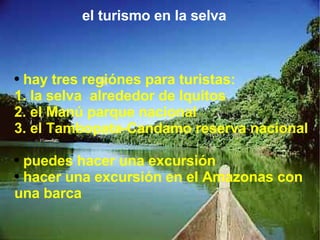 el turismo en la selva hay tres regiónes para turistas:  1. la selva  alrededor de Iquitos 2. el Manú parque nacional  3. el Tambopata-Candamo reserva nacional  puedes hacer una excursión hacer una excursión en el Amazonas con una barca 