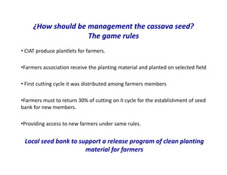Use of tissue culture techniques in a seed releases programs of whiteflies and frog skin diseases resistance materials in Cauca, Colombia