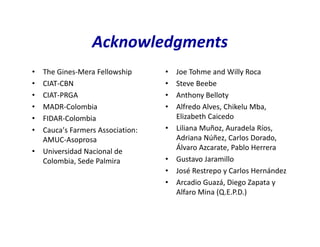 Use of tissue culture techniques in a seed releases programs of whiteflies and frog skin diseases resistance materials in Cauca, Colombia