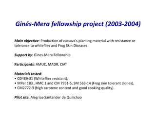 Use of tissue culture techniques in a seed releases programs of whiteflies and frog skin diseases resistance materials in Cauca, Colombia