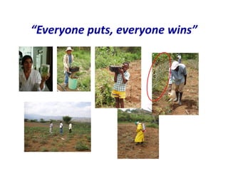 Use of tissue culture techniques in a seed releases programs of whiteflies and frog skin diseases resistance materials in Cauca, Colombia