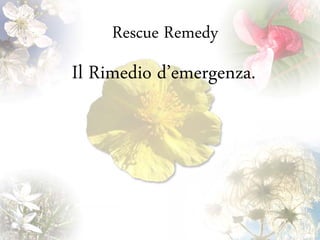 Rescue Remedy
Il Rimedio d’emergenza.
 