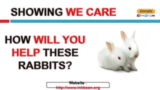 Website :
http://www.inkbean.org
 