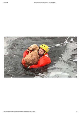 5/4/2018 ctyp_Bloomington-dog-rescue.jpg (800×450)
http://stmedia.stimg.co/ctyp_Bloomington-dog-rescue.jpg?w=800 1/1
 