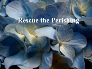 Rescue the Perishing
 
