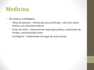 Medicina
• De ossos e cartilagens
• Tíbias de bovinos – farinha de osso purificada – alto teor cálcio-
fosforo, em alimentos infantis
• Ossos de vitela - elementos de reparação plástica, substitutos de
tecidos, reconstituição óssea
• Cartilagens – implantadas em lugar de ossos faciais
 