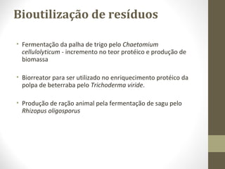 Bioutilização de resíduos
• Fermentação da palha de trigo pelo Chaetomium
cellulolyticum - incremento no teor protéico e produção de
biomassa
• Biorreator para ser utilizado no enriquecimento protéico da
polpa de beterraba pelo Trichoderma viride.
• Produção de ração animal pela fermentação de sagu pelo
Rhizopus oligosporus
 