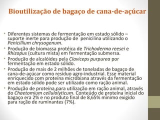 Bioutilização de bagaço de cana-de-açúcar
• Diferentes sistemas de fermentação em estado sólido –
suporte inerte para produção de penicilina utilizando o
Penicillium chrysogenum.
• Produção de biomassa protéica de Trichoderma reesei e
Rhizopus (cultura mista) em fermentação submersa.
• Produção de alcalóides pela Claviceps purpurea por
fermentação em estado sólido.
• Produção de mais de 2 milhões de toneladas de bagaço de
cana-de-açúcar como resíduo agro-industrial. Esse material
enriquecido com proteína microbiana através da fermentação
em estado sólido pode ser utilizado como ração animal.
• Produção de proteína,para utilização em ração animal, através
do Chaetomium cellulolyticum. Conteúdo de proteína inicial do
bagaço era 2% e no produto final de 8,65% mínimo exigido
para ração de ruminantes (7%).
 