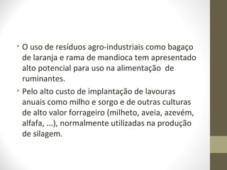 • O uso de resíduos agro-industriais como bagaço
de laranja e rama de mandioca tem apresentado
alto potencial para uso na alimentação de
ruminantes.
• Pelo alto custo de implantação de lavouras
anuais como milho e sorgo e de outras culturas
de alto valor forrageiro (milheto, aveia, azevém,
alfafa, ...), normalmente utilizadas na produção
de silagem.
 
