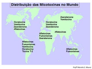 Profª Mariela S. Moura
 