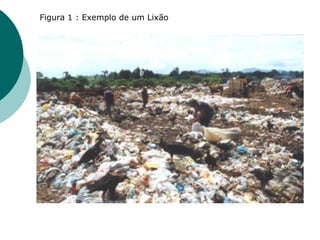 Figura 1 : Exemplo de um Lixão
 
