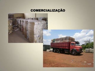COMERCIALIZAÇÃO