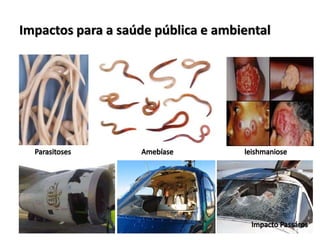 Impactos para a saúde pública e ambiental
 