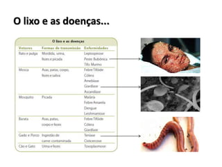 O lixo e as doenças...
 