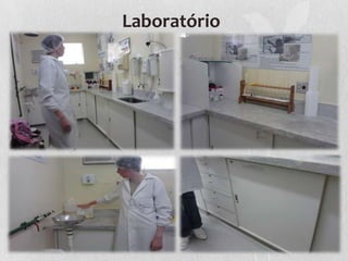 Laboratório
 
