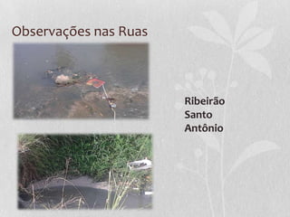 Observações nas Ruas



                       Ribeirão
                       Santo
                       Antônio
 