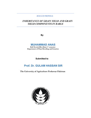 RESEACH PROPOSAL
INHERITANCE OF GRAIN YIELD AND GRAIN
YIELD COMPONENTS IN BARLE
By
MUHAMMAD ANAS
Roll No.250 BSc (Hon) 7th
semester
Department of Plant Breeding and Genetics
Submitted to
Prof. Dr. GULAM HASSAN SIR
The University of Agriculture Peshawar Pakistan
 