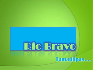 Rio Bravo Tamaulipas…. 