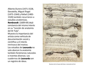 Alberto Durero (1471-1528,
Donatello, Miguel Ángel
(1475-1564) y Rafael (1483-
1520) también recurrieron a
estudios anatómicos.
Rembrandt (1609-69) dejó
constancia del mismo interés
en su “Lección de anatomía
del Dr Tulp”.
Muestra la importancia del
artista como vehículo de
documentación social y
científica y el interés
intrínseco del motivo.
Los estudios de Leonardo no
solo abarcan la anatomía
también fenómenos naturales
e inventos diversos. Los
cuadernos de Leonardo son
un registro de ideas.
                               Bocetos de los huesos del brazo. Leonardo da Vinci
 