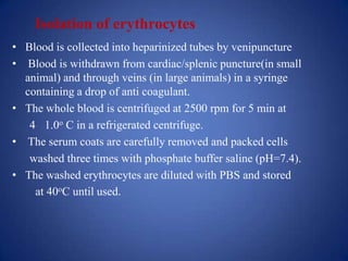 Isolation of erythrocytes
• Blood is collected into heparinized tubes by venipuncture
• Blood is withdrawn from cardiac/splenic puncture(in small
  animal) and through veins (in large animals) in a syringe
  containing a drop of anti coagulant.
• The whole blood is centrifuged at 2500 rpm for 5 min at
   4 1.0o C in a refrigerated centrifuge.
• The serum coats are carefully removed and packed cells
   washed three times with phosphate buffer saline (pH=7.4).
• The washed erythrocytes are diluted with PBS and stored
    at 40oC until used.
 