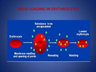 DRUG LOADING IN ERYTHROCYTES
 