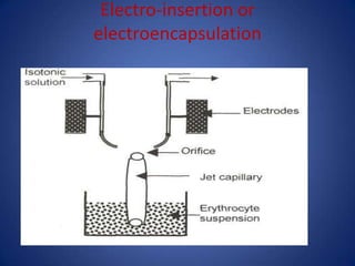 Electro-insertion or
electroencapsulation
 