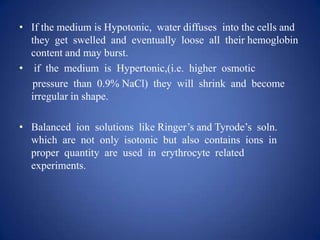 • If the medium is Hypotonic, water diffuses into the cells and
  they get swelled and eventually loose all their hemoglobin
  content and may burst.
• if the medium is Hypertonic,(i.e. higher osmotic
  pressure than 0.9% NaCl) they will shrink and become
  irregular in shape.

• Balanced ion solutions like Ringer’s and Tyrode’s soln.
  which are not only isotonic but also contains ions in
  proper quantity are used in erythrocyte related
  experiments.
 