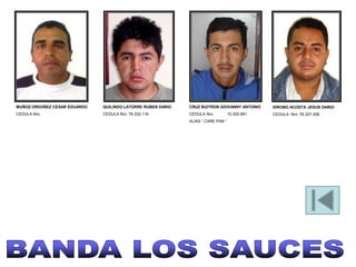 MUÑOZ ORDOÑEZ CESAR EDUARDO   QUILINDO LATORRE RUBEN DARIO   CRUZ BUITRON GIOVANNY ANTONIO     IDROBO ACOSTA JESUS DARIO
CEDULA Nro.                   CEDULA Nro. 76.332.116         CEDULA Nro.          10.302.681   CEDULA Nro .76.327.258
                                                             ALIAS “ CARE PAN “
 