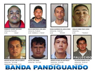 GONZALEZ FAJARDO GEOVANNY       SOLES HINESTROZA JHON JAIRO     DURAN GUERRERO WILLIAM ALFONSO   GIRALDO GOMEZ FREDY OVIDIO
CEDULA Nro. 76.313.873          CEDULA Nro. 76.329.401:         CEDULA Nro. : 76.322.321         CEDULA Nro. :
ALIAS            “ CHUZZ “      ALIAS “ ARANDELA “ o “ PACHO”   ALIAS            “ BAYGON“       ALIAS            “ POCHOLO“




NARVAEZ MOLANO CARLOS ALBERTO   GUEJIA JOSE REINEL               RENGIFO ALONSO WILSON FREDDY        PAZ MUÑOZ ANDRES FELIPE
CEDULA Nro. : 76.314.566        CEDULA Nro. : 76.317.487         CEDULA Nro. : 76.310.932            CEDULA Nro. : 76.331.914
OBSERVACIONES : ALIAS “ BETO“                                    ALIAS “ KRUGER “                    ALIAS “ PATILLA “
 