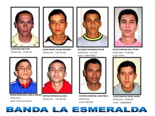 CERON MOLANO IVAN               ALBAN ERAZO JULIAN EDUARDO    ESCOBAR FERNANDEZ OSCAR       ACOSTA MEDINA PAUL PETER
CEDULA Nro. : 76.328.192        CEDULA Nro. : 1.053.776.920   CEDULA Nro. : 4.613.277       CEDULA Nro. : 76.329.285
                                                              ALIAS “ CARE PERRO “          ALIAS “ PITER “




MUÑOZ BENAVIDEZ CAMILO ANDRES
                                ORTEGA ESPINOZA ALVARO         ACEVEDO HERRERA JUAN PABLO   LOPEZ GARCES OSCAR JAVIER
CEDULA Nro. :
                                CEDULA Nro. : 1.061.693.502    CEDULA Nro. :                CEDULA Nro. :10.293.347
ALIAS “ PICO DE CHUCHA “
                                                               ALIAS “PINCHER”              ALIAS “ CUMBAMBON “
 