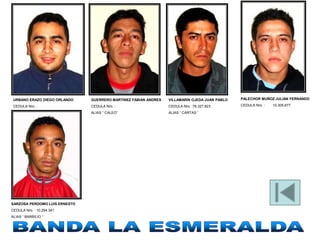 URBANO ERAZO DIEGO ORLANDO    GUERRERO MARTINEZ FABIAN ANDRES   VILLAMARIN OJEDA JUAN PABLO   PALECHOR MUÑOZ JULIAN FERNANDO

 CEDULA Nro. :                 CEDULA Nro. :                     CEDULA Nro. :76.327.823       CEDULA Nro. :   10.305.677

                               ALIAS “ CALEO”                    ALIAS “ CARTAS “




SARZOSA PERDOMO LUIS ERNESTO
CEDULA Nro. : 10.294.341
ALIAS “ BARBILIO “
 