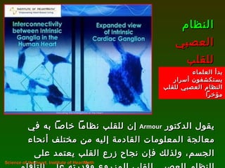 يقول الدكتور  Armour   إن للقلب نظاماً خاصاً به في معالجة المعلومات القادمة إليه من مختلف أنحاء الجسم، ولذلك فإن نجاح زرع القلب يعتمد على النظام العصبي للقلب المزروع وقدرته على التأقلم مع المريض . النظام العصبي للقلب Science of the heart, Institute of HeartMath  بدأ العلماء يستكشفون أسرار  النظام العصبي للقلب مؤخراً 
