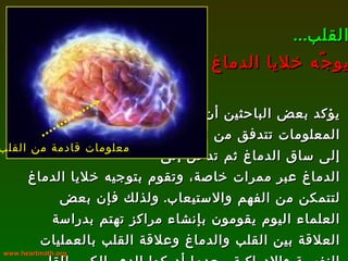 يؤكد بعض الباحثين أن المعلومات تتدفق من القلب إلى ساق الدماغ ثم تدخل إلى الدماغ عبر ممرات خاصة، وتقوم بتوجيه خلايا الدماغ لتتمكن من الفهم والاستيعاب .  ولذلك فإن بعض العلماء اليوم يقومون بإنشاء مراكز تهتم بدراسة العلاقة بين القلب والدماغ وعلاقة القلب بالعمليات النفسية والإدراكية، بعدما أدركوا الدور الكبير للقلب في التفكير والإبداع . القلب ... يوجّه خلايا الدماغ www.heartmath.org  معلومات قادمة من القلب 