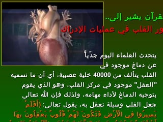 يتحدث العلماء اليوم جدّياًّ عن دماغ موجود في  القلب يتألف من  40000  خلية عصبية، أي أن ما نسميه  " العقل "  موجود في مركز القلب، وهو الذي يقوم بتوجيه الدماغ لأداء مهامه، ولذلك فإن الله تعالى جعل القلب وسيلة نعقل به، يقول تعالى :  ( أَفَلَمْ يَسِيرُوا فِي الْأَرْضِ فَتَكُونَ لَهُمْ قُلُوبٌ يَعْقِلُونَ بِهَا أَوْ آَذَانٌ يَسْمَعُونَ بِهَا فَإِنَّهَا لَا تَعْمَى الْأَبْصَارُ وَلَكِنْ تَعْمَى الْقُلُوبُ الَّتِي فِي الصُّدُورِ )   [ الحج : 46].   القرآن يشير إلى .. دور القلب في عمليات الإدراك 